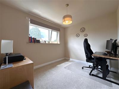 Picture 19